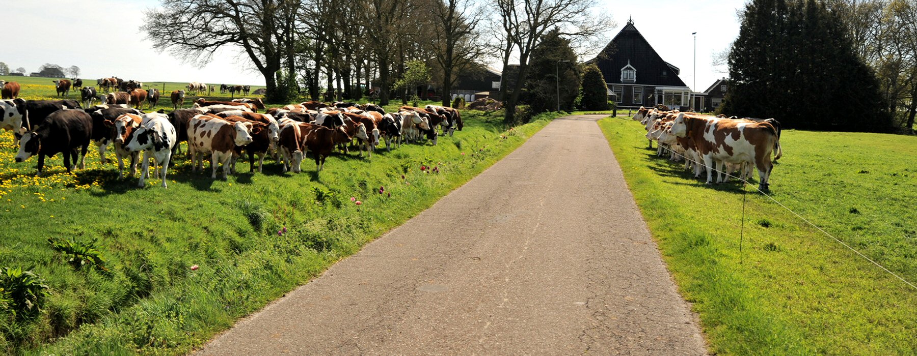 Kamperen bij de boer